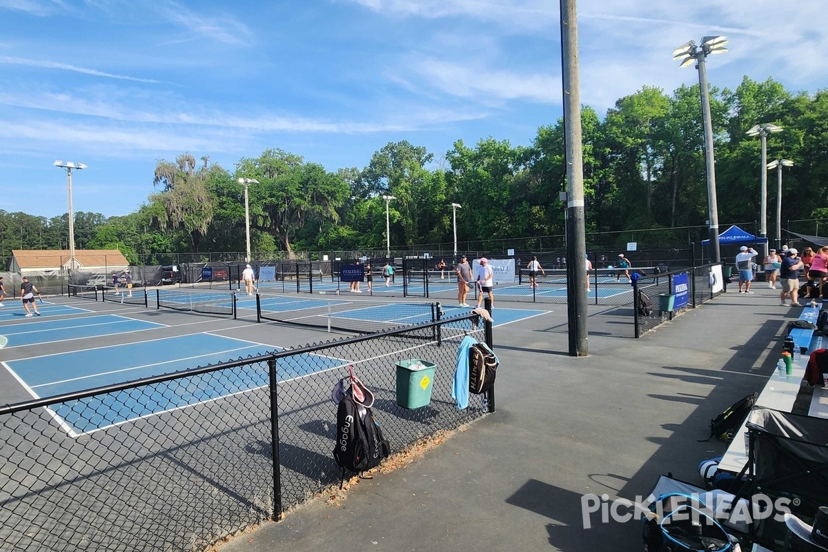 Photo of Pickleball at Collins Park